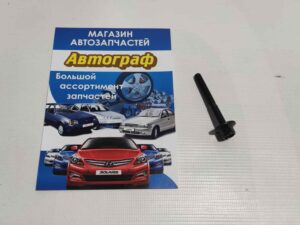 Болт крышки клап (пласт) все двиг.1,6