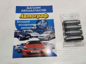 Напр клап FRECCIA 2108 впуск (in) (к-кт.)